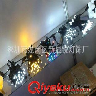 LED灯串、网灯、瀑布灯 外贸LED球泡灯 圣诞灯装饰5米50珠灯串 小圆球灯串