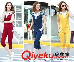 未分类 套装2015夏季新款套装短袖印花休闲套装韩版时尚运动装