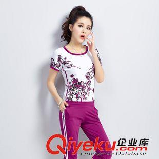 未分类 P0129休闲套装 女 2015夏季新款短袖套头修身潮纯棉运动衣 中国风