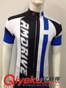 骑行短袖 2014年新款骑行服自行车山地车衣服 自行车车队版骑行服套装订制