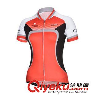 骑行短袖 2015夏新款红色女式短袖骑行服套装 新款单车衫 衣车紧身衣定制