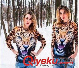 Ebay.亚马逊 热卖 明星同款卫衣套装个性3D狮虎豹纹印花大码装潮款原始图片3