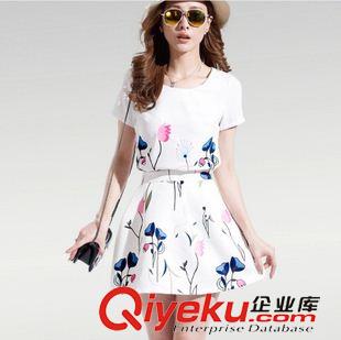 休闲运动套装 2015夏季新款时尚印花套裙韩版休闲显瘦两件套