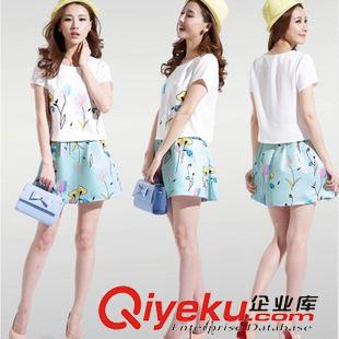 休闲运动套装 2015夏季新款时尚印花套裙韩版休闲显瘦两件套