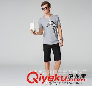 男式T恤polo 供应2014马年夏季新款男装 活力斑马图案短袖T恤