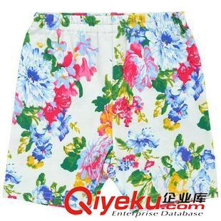 夏款 2014年夏季女宝短袖套装  韩版小童套装厂家直销