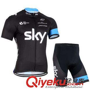 短套装 sky 2015新款车队版短袖骑行服上衣男款夏季自行车专业单车透氣衫