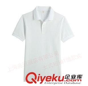 男式短袖POLO衫 供应上海全棉材质白色t恤衫 现货polo衫、工装t恤衫,短袖t恤衫