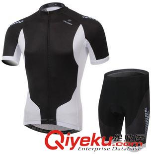 短套装 2015年新款黑爵骑行服短袖套装 自行车服 夏季吸湿排汗透气衣裤