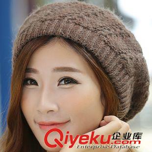贝雷帽 冬季帽子女韩版可爱时尚女帽冬天女士帽子秋冬贝雷帽兔毛帽子新款