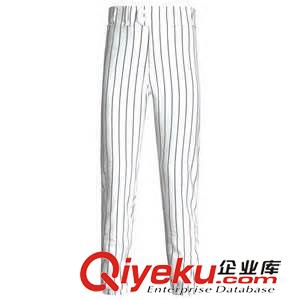 棒球服 矢量图定做 条纹棒球裤 外贸通用 学校、俱乐部 团队棒球裤