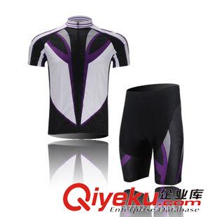 短袖套装男款 XINTOWN极速紫 骑行服短袖套装 自行车服 夏季吸湿排汗速干衣