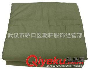 热销产品 厂家批发 yz精梳网套棉被 5斤低价棉被等床上用品