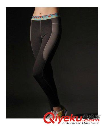 女长裤 出口澳洲 新女长裤 秋冬保暖 jm运动裤 瑜伽修身健身裤CB14035
