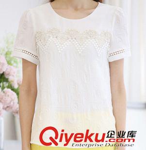 夏季新品7月03 6737夏装新款韩国东大门  女式圆领打底衫  女装短袖T恤