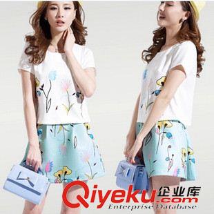 夏季新品7月12 2015夏季女装 新款时尚印花套裙 韩版休闲显瘦 两件套
