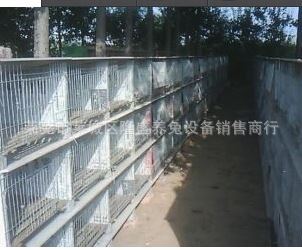 育肥笼 批量销售水泥兔笼 专业生产销售水泥兔笼 水泥养殖兔笼 质量可靠