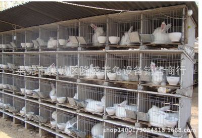 水泥瓷砖组合兔笼 批量销售水泥兔笼 专业生产销售水泥兔笼 水泥养殖兔笼 质量可靠