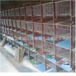 瓷砖兔笼 专业销售瓷砖兔笼 莱芜直销各种养殖兔笼 价格合理高品质兔笼
