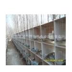 瓷砖兔笼 供应水泥兔笼 瓷砖兔笼 厂家长期销售瓷砖兔笼 质量可靠优质兔笼