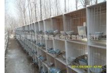 水泥兔笼 厂家长期供货各种兔笼 厂家供应水泥瓷砖组合兔笼 水泥育肥兔笼