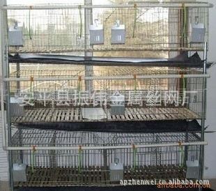 兔笼 专业兔笼成套设备、生产制造、销售