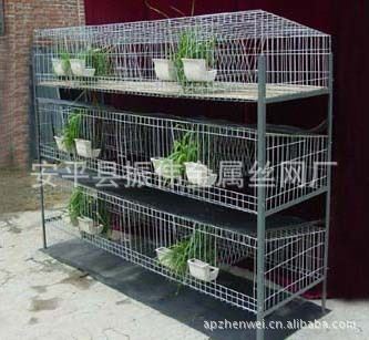 兔笼 专业兔笼成套设备、生产制造、销售
