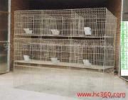 兔笼 兔笼厂直销3层9位母兔笼 镀锌不锈兔笼 兔笼配件 低价批发