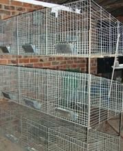 兔笼 兔笼厂直销3层9位母兔笼 镀锌不锈兔笼 兔笼配件 低价批发