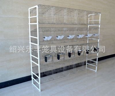 掌柜推荐 浙江绍兴金属兔笼 生产金属兔笼系列产品 各样高品质耐用金属兔笼