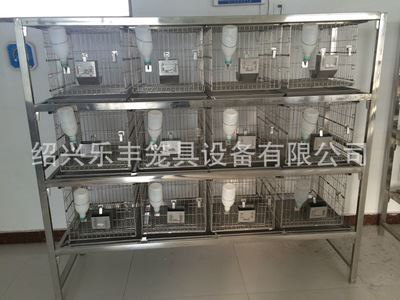 自动化兔笼  长期供应 干养式不锈钢实验兔笼 连体自动化兔笼 自动化三层兔笼