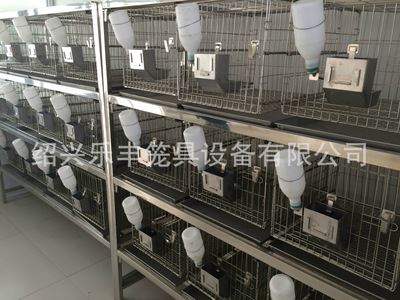 自动化兔笼  长期供应 干养式不锈钢实验兔笼 连体自动化兔笼 自动化三层兔笼