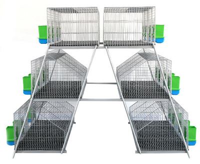 工程案例 3层阶梯式24位子母兔笼产品 智能化商品兔笼养殖设备 养殖用品