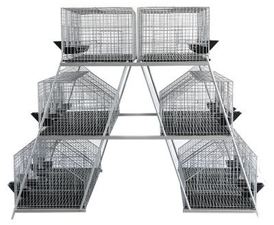 工程案例 3层阶梯式24位子母兔笼产品 智能化商品兔笼养殖设备 养殖用品