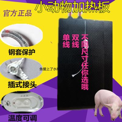育雏保温器 保温灯 塑料双线可换线仔猪电热板55X100 猪用恒温加热仔猪狗用保温板箱
