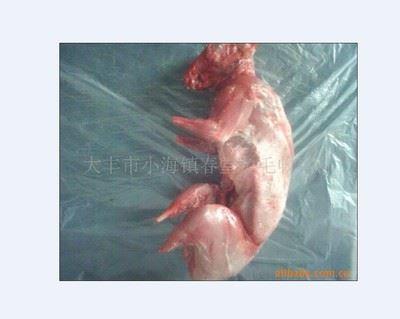 兔肉 厂家专业供应兔肉 新鲜兔肉 兔肉批发 冷冻兔肉