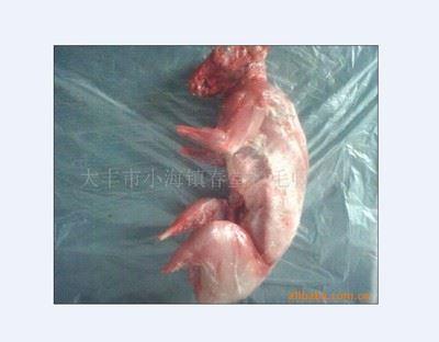 兔肉 厂家专业供应兔肉 兔肉批发 冷冻兔肉 兔肉加工