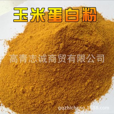 玉米蛋白粉 长期供应 玉米蛋白粉