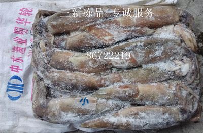 水产类 批发供应冰鲜鱿鱼（400g/600g） 12.5kg约25条