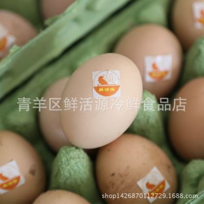 鸡蛋 大量供应高品质 散养草鸡蛋 土鸡蛋货源充足农家鸡蛋口感自家生产