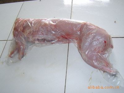 生兔肉类 安徽合肥供应新鲜 半净膛 冷冻 白条兔肉(比利时野兔）