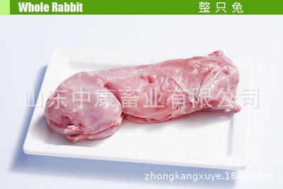 整只兔 山东大量供应新鲜冷冻兔肉兔白条 整只兔 保鲜兔 分割兔 兔肉食品