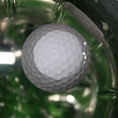 高尔夫球 【可印制】{ms}1.29元 正品全新高尔夫空白球 双层球礼品球 专用