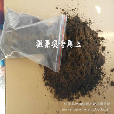 园艺用品区 批发微景观苔藓种植泥炭土 草炭土多肉植物水藓泥炭营养土泥炭藓