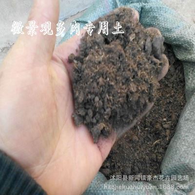 园艺用品区 批发微景观苔藓种植泥炭土 草炭土多肉植物水藓泥炭营养土泥炭藓