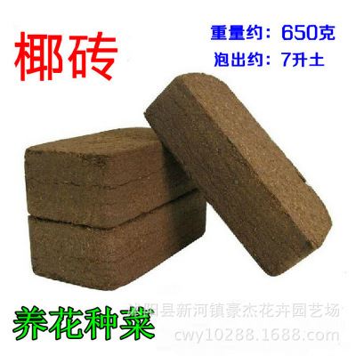 园艺用品区 批发进口压缩椰粉砖椰砖650克盆栽多肉土花卉种菜土基质芽菜专用