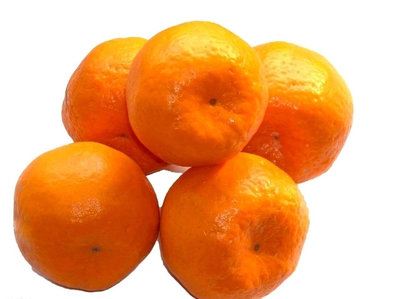 【果树苗】 厂家出售 南方柑橘果树苗 庭院果树苗 沃柑柑桔