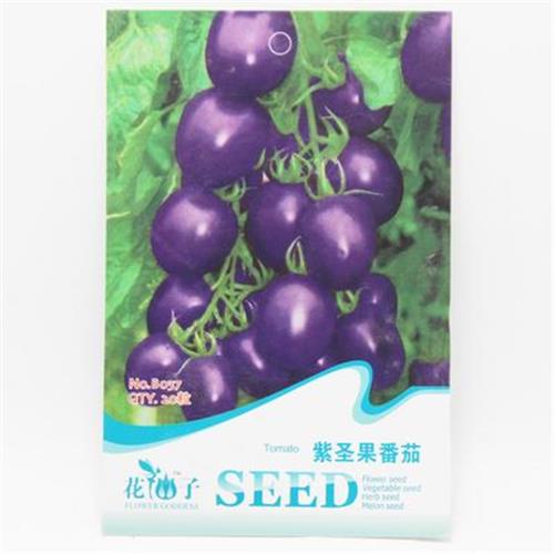 蔬菜彩袋种子 家庭蔬菜种子 紫圣果番茄种子 适合盆栽 庭院 约20粒