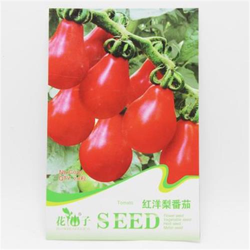 蔬菜彩袋种子 红洋梨番茄种子 瓜果蔬菜种子花仙子彩包种子庭院盆栽（约20粒）