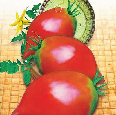 蔬菜彩袋种子 彩包蔬菜种子 红寿桃番茄 阳台盆栽/家庭种菜/蔬菜瓜果 20粒